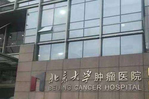 北京大學(xué)腫瘤醫(yī)院 北京大學(xué)腫瘤醫(yī)院